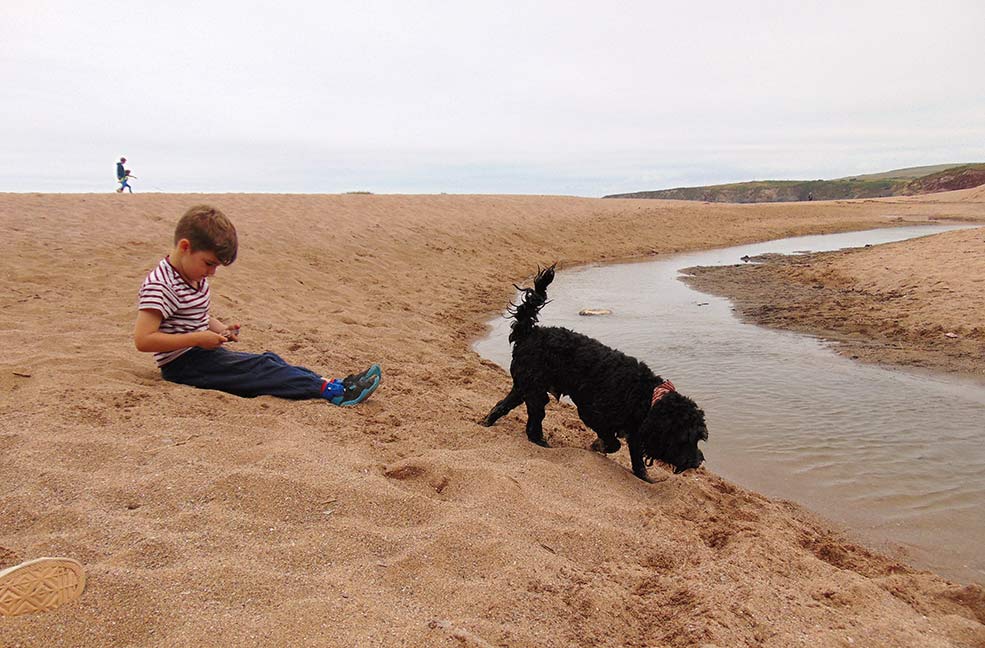 Dog walks in the South Hams